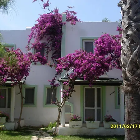 Avta Tatil Koeyue Holiday home *